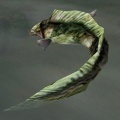 AR-creature-Reisserfisch.jpg