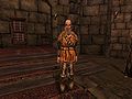 Morrowind 2013-02-15 13-10-55-01.jpg